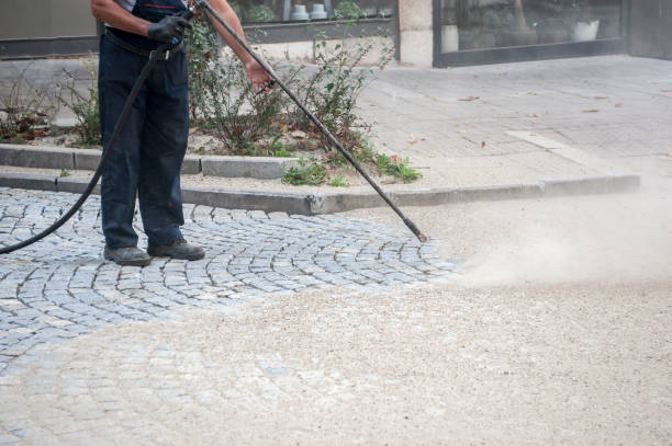 Best Fence Cleaning  in Willows, CA
